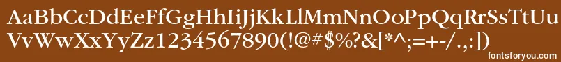 ItcgaramondstdBk Font – White Fonts on Brown Background