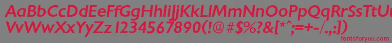 ChantillyserialMediumItalic Font – Red Fonts on Gray Background