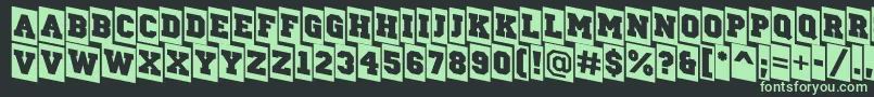Police ACampuscmdn – polices vertes sur fond noir