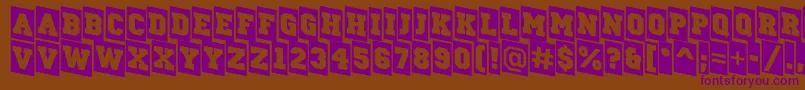 ACampuscmdn Font – Purple Fonts on Brown Background