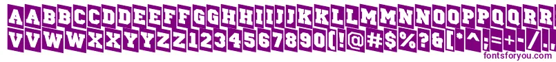 ACampuscmdn Font – Purple Fonts on White Background