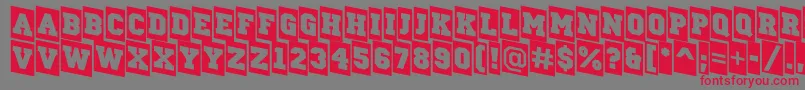 ACampuscmdn Font – Red Fonts on Gray Background