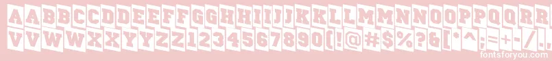 ACampuscmdn Font – White Fonts on Pink Background