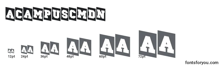 ACampuscmdn Font Sizes
