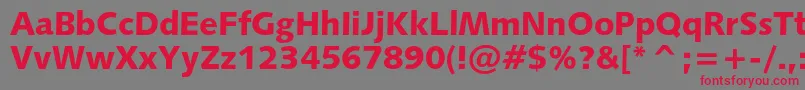 Humanist531cblackbt Font – Red Fonts on Gray Background