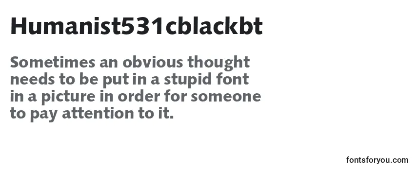 Review of the Humanist531cblackbt Font