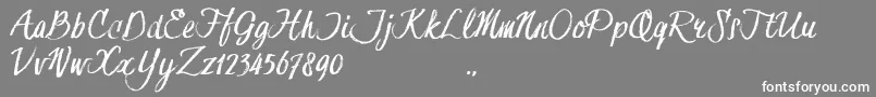 HessterMofetDirtyTrial Font – White Fonts on Gray Background