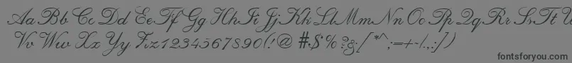 RegencyRegular-Schriftart – Schwarze Schriften auf grauem Hintergrund