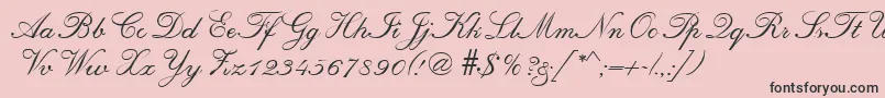 RegencyRegular Font – Black Fonts on Pink Background