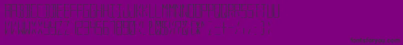 DigitalSystem Font – Black Fonts on Purple Background