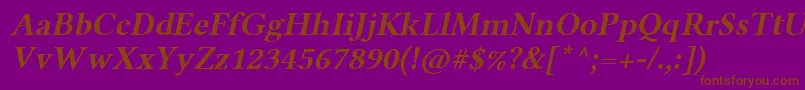 LinlibertineAbl Font – Brown Fonts on Purple Background