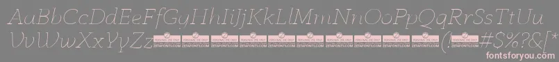 AnaphoraThinItalicTrial Font – Pink Fonts on Gray Background