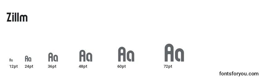Zillm Font Sizes