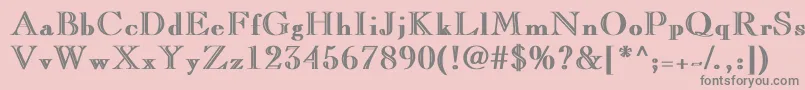 LaraBold Font – Gray Fonts on Pink Background