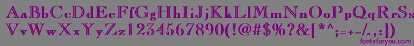 LaraBold Font – Purple Fonts on Gray Background