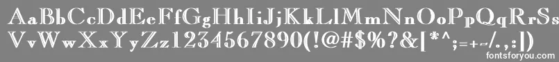 フォントLaraBold – 灰色の背景に白い文字