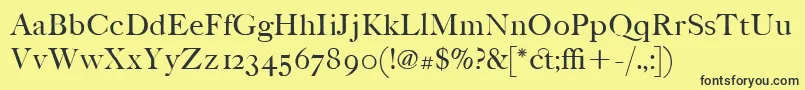 ItcFoundersCaslonPoster Font – Black Fonts on Yellow Background