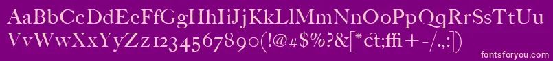 ItcFoundersCaslonPoster Font – Pink Fonts on Purple Background