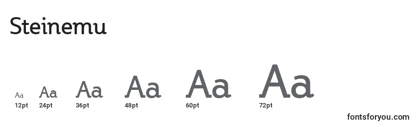 Размеры шрифта Steinemu