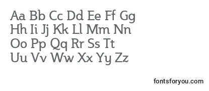 Review of the Steinemu Font