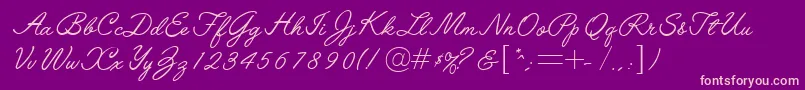 L691ScriptRegular Font – Pink Fonts on Purple Background