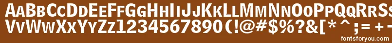 BellcentennialstdBdlisting Font – White Fonts on Brown Background