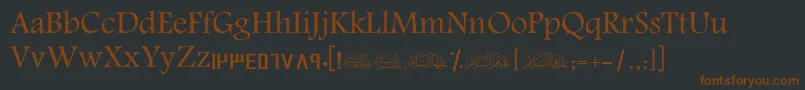 Подробнее о шрифте ScAmeen Шрифт ScAmeen – коричневые шрифты на чёрном фоне