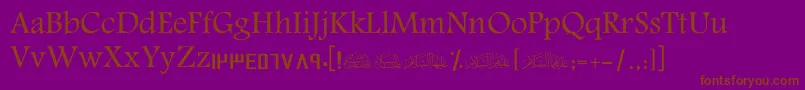 ScAmeen Font – Brown Fonts on Purple Background