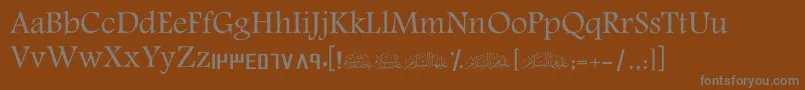 ScAmeen Font – Gray Fonts on Brown Background