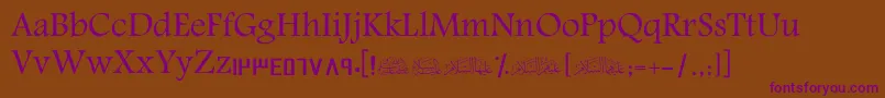 ScAmeen Font – Purple Fonts on Brown Background