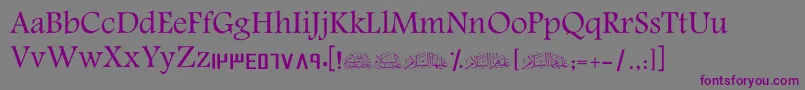 ScAmeen Font – Purple Fonts on Gray Background