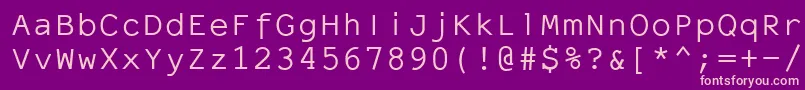 ElronetMonospace Font – Pink Fonts on Purple Background