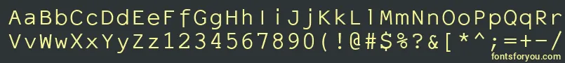 ElronetMonospace Font – Yellow Fonts on Black Background