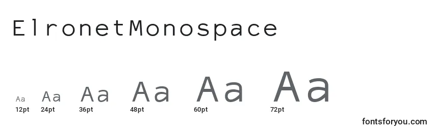 ElronetMonospace Font Sizes