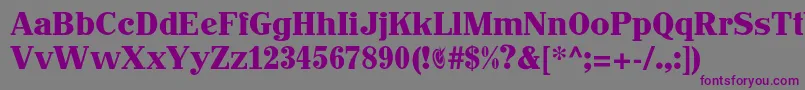 Johnhancockcp Font – Purple Fonts on Gray Background