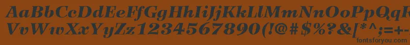 WilkeLt96BlackItalic Font – Black Fonts on Brown Background