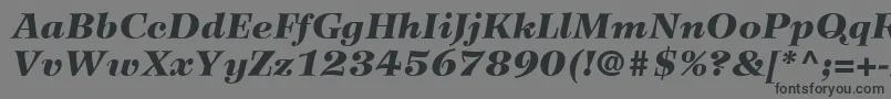 フォントWilkeLt96BlackItalic – 黒い文字の灰色の背景