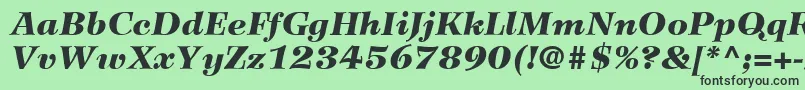 Fonte WilkeLt96BlackItalic – fontes pretas em um fundo verde