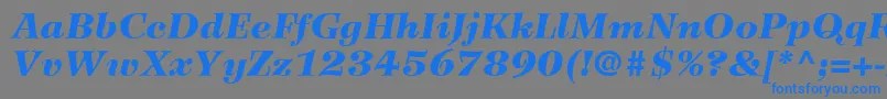 WilkeLt96BlackItalic Font – Blue Fonts on Gray Background