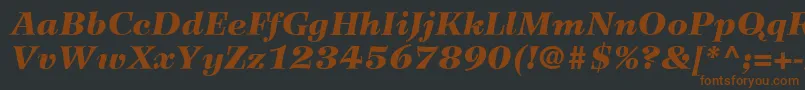 WilkeLt96BlackItalic-fontti – ruskeat fontit mustalla taustalla