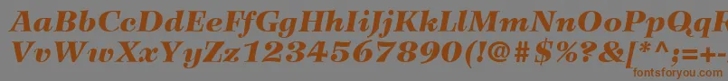 フォントWilkeLt96BlackItalic – 茶色の文字が灰色の背景にあります。