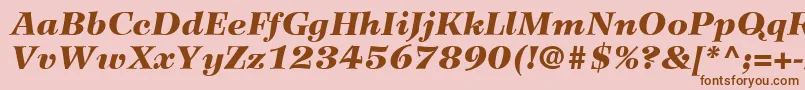 fuente WilkeLt96BlackItalic – Fuentes Marrones Sobre Fondo Rosa