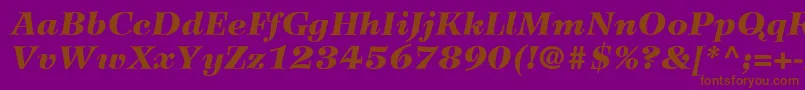 WilkeLt96BlackItalic-fontti – ruskeat fontit violetilla taustalla