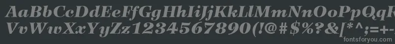 Czcionka WilkeLt96BlackItalic – szare czcionki na czarnym tle