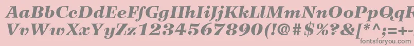 WilkeLt96BlackItalic Font – Gray Fonts on Pink Background