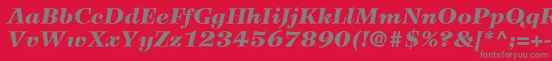 Шрифт WilkeLt96BlackItalic – серые шрифты на красном фоне