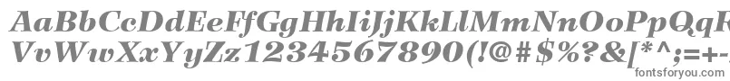 フォントWilkeLt96BlackItalic – 白い背景に灰色の文字