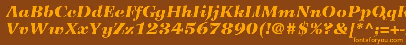 WilkeLt96BlackItalic Font – Orange Fonts on Brown Background