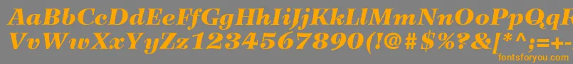 fuente WilkeLt96BlackItalic – Fuentes Naranjas Sobre Fondo Gris