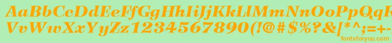 WilkeLt96BlackItalic Font – Orange Fonts on Green Background